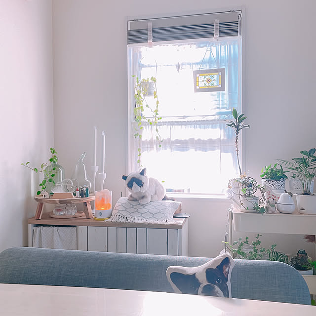 akiko-ovさんの部屋