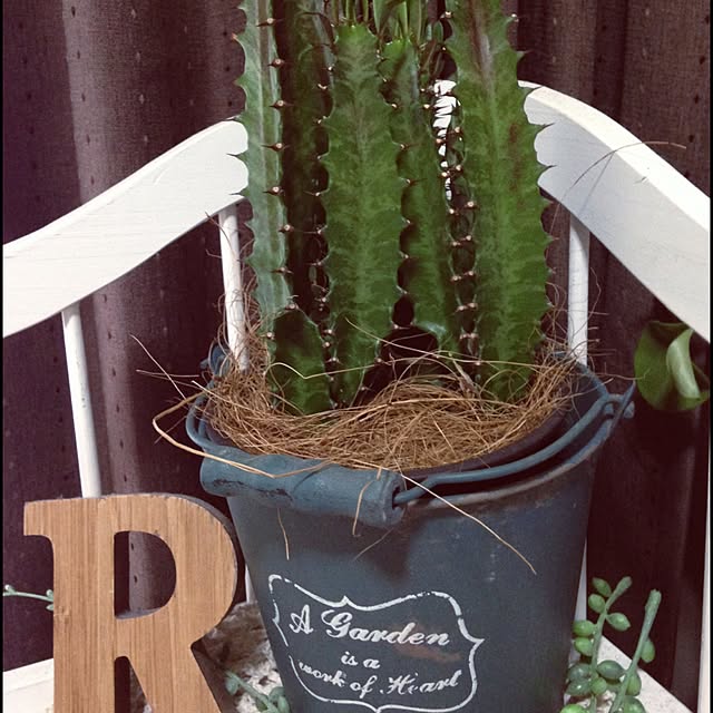 ruteiさんの実例写真