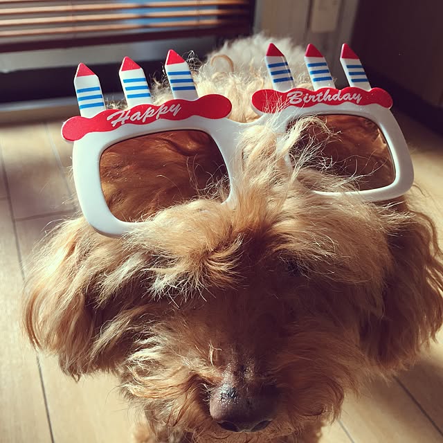 pooさんの実例写真
