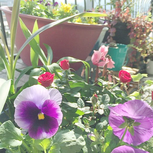 taroさんの実例写真