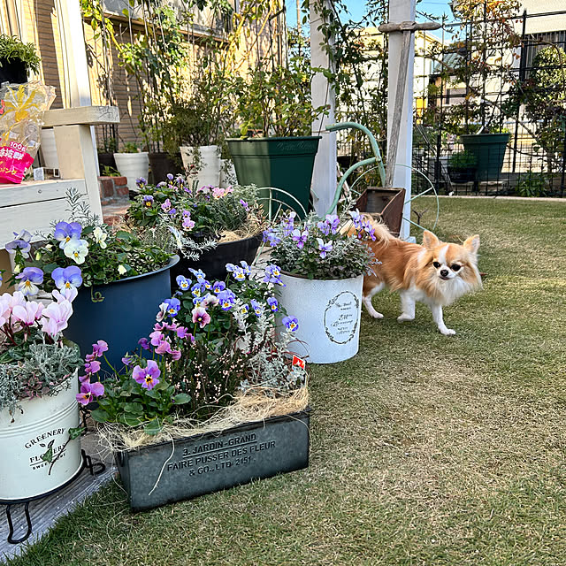 Yumiさんの実例写真