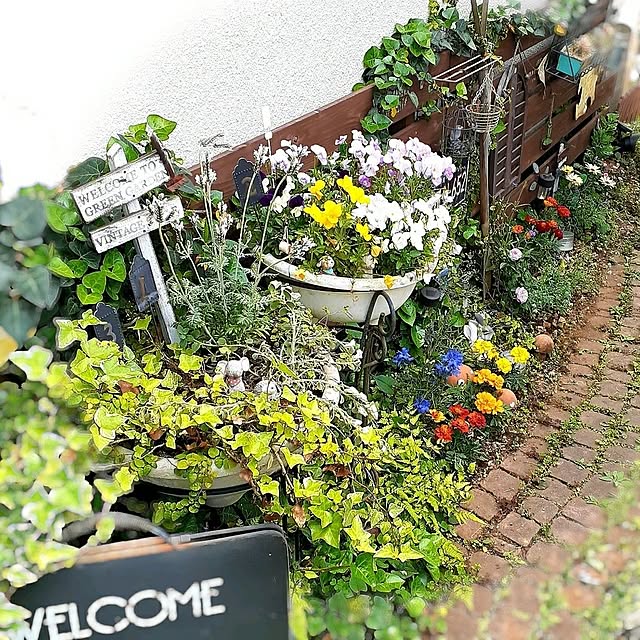 naoporonさんの部屋