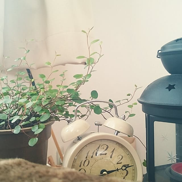 mi-さんの実例写真