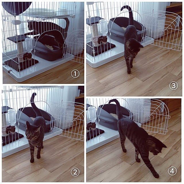 hihaさんの実例写真