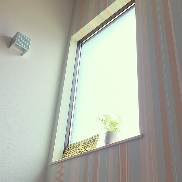 reinさんの実例写真
