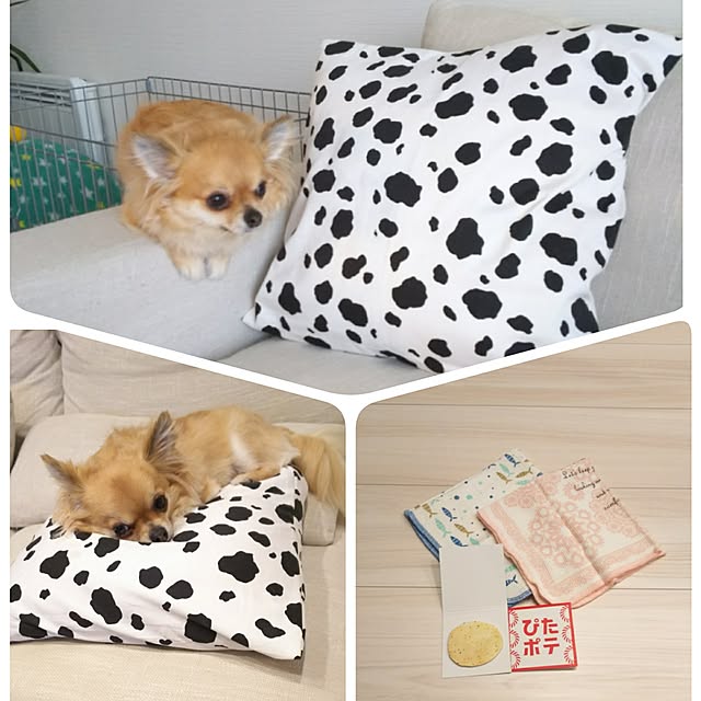 kojikojiさんの実例写真