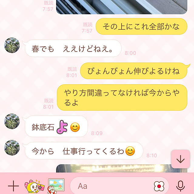koshiregutyoさんの部屋