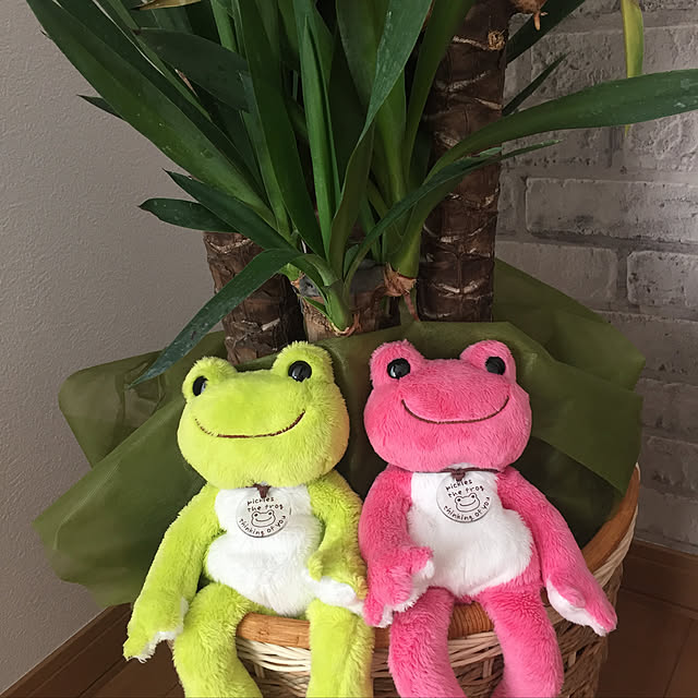 Sumomoさんの実例写真