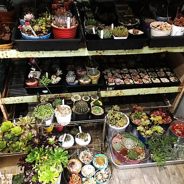 khma88さんの実例写真