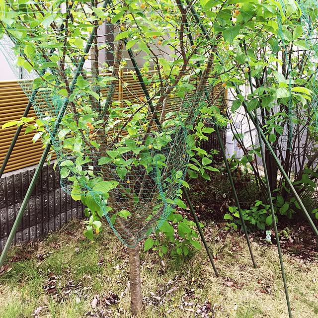 tsukiyuzuさんの実例写真