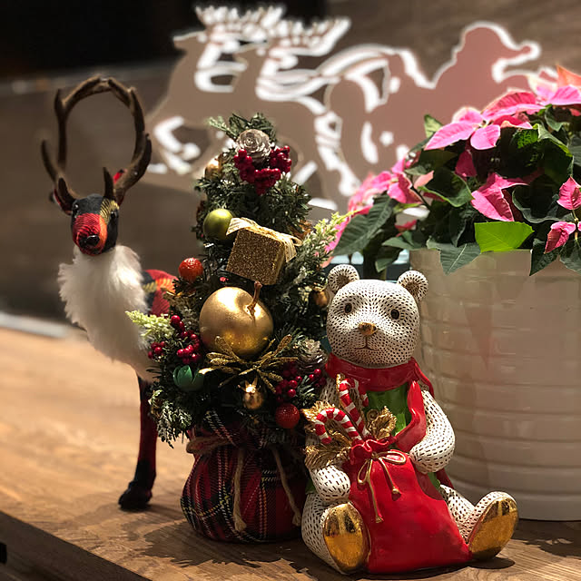 kotarico327さんの実例写真