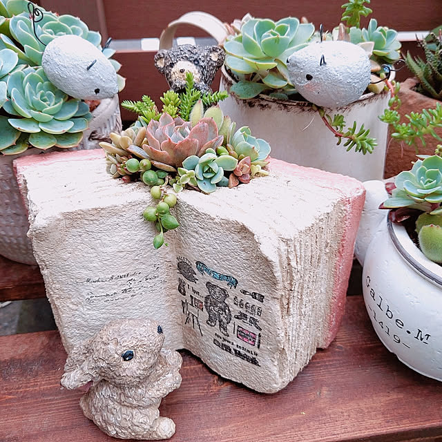 aikkoさんの実例写真