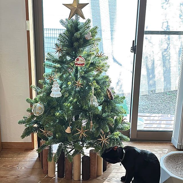 puu.tuuliさんの部屋