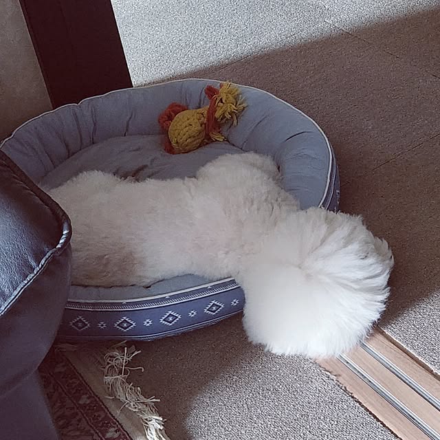 takoさんの部屋
