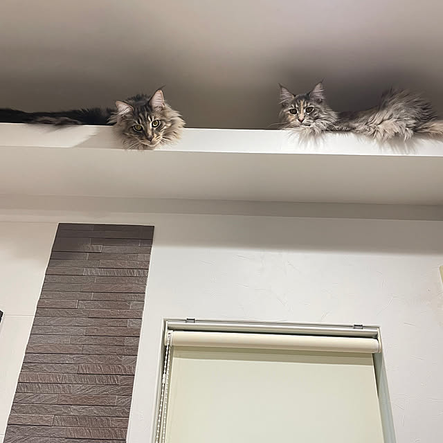 mayumiさんの部屋