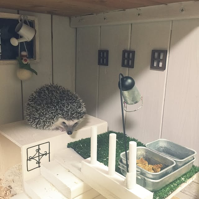 RURULOVEさんの実例写真