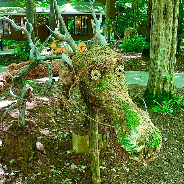 tututu0204さんの部屋