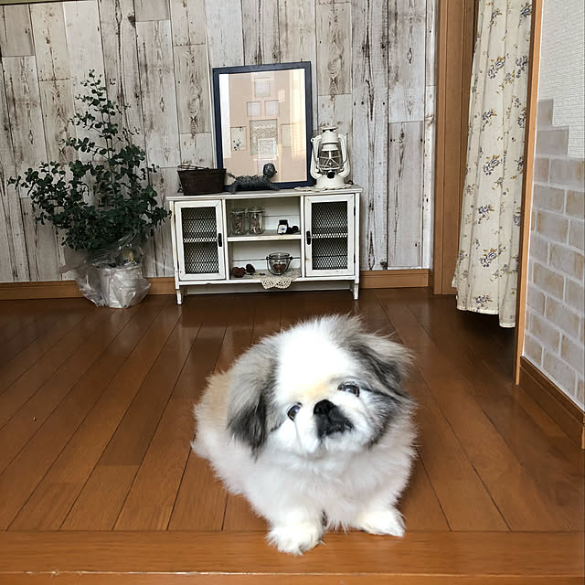kyoromeguさんの実例写真