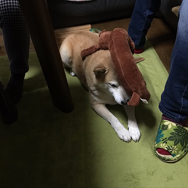 futadaitap601さんの実例写真