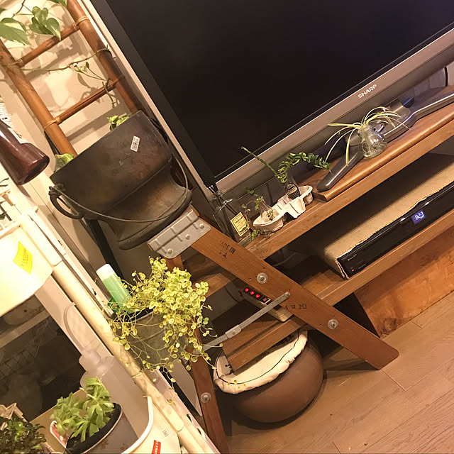 1999さんの実例写真