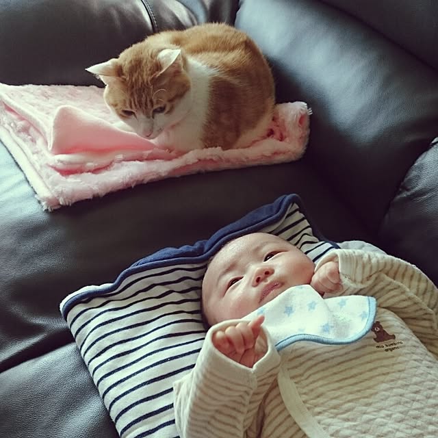 Naokoさんの実例写真