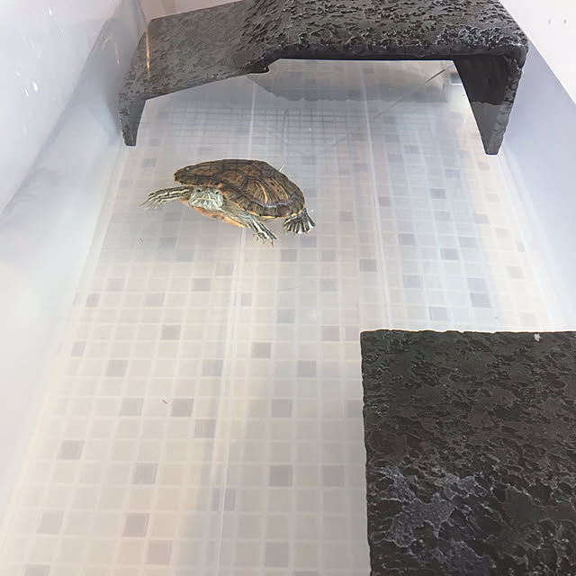 oasisさんの実例写真