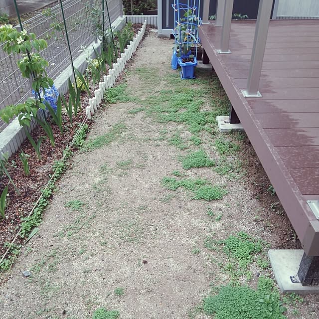 nikoさんの実例写真