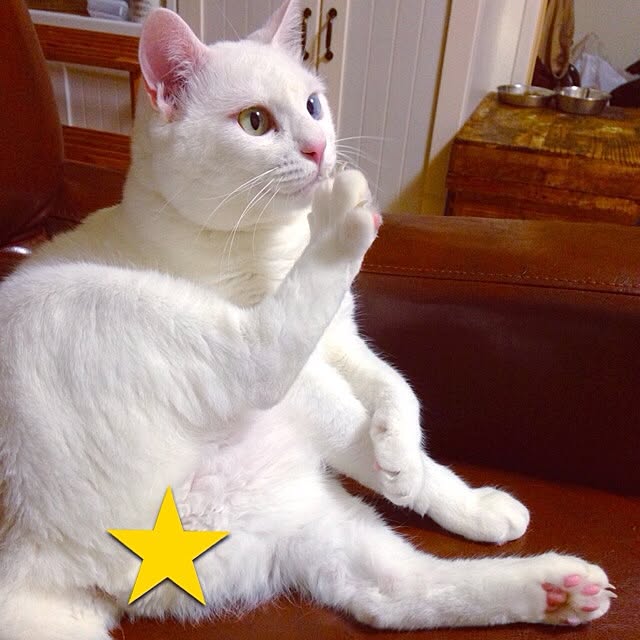kaoさんの実例写真