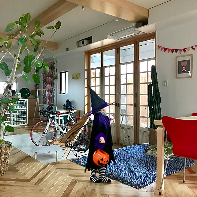 実例写真