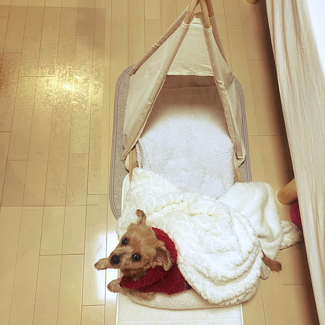 haruさんの実例写真