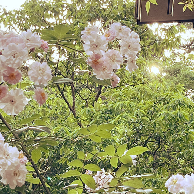 cota2さんの部屋