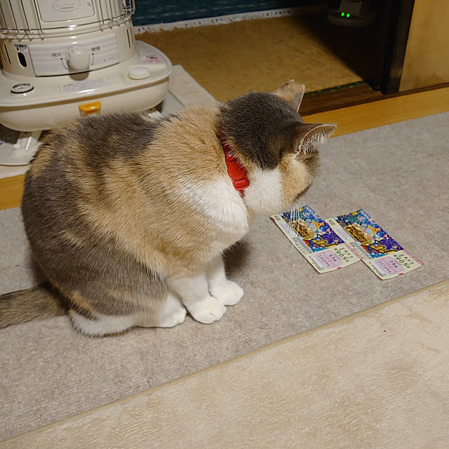 fukuさんの実例写真