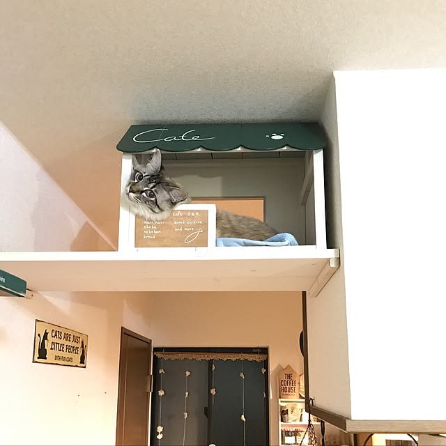 kazaneさんの実例写真