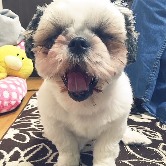Kanamiさんの実例写真