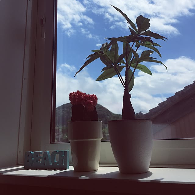 tomo.18さんの実例写真