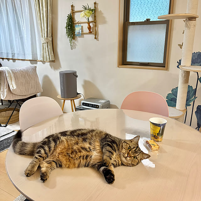 chiiさんの実例写真