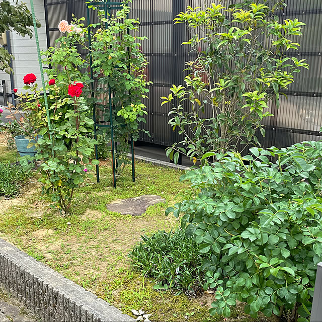 kakoさんの実例写真