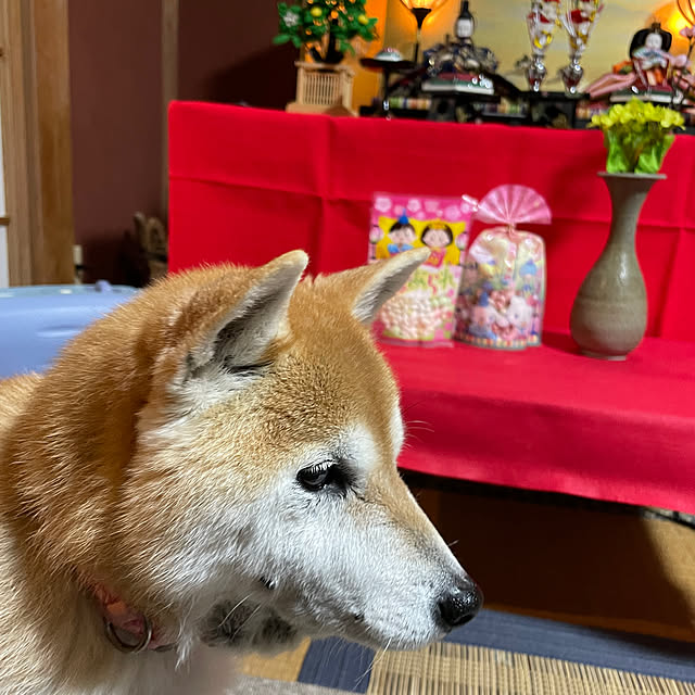 kyukoさんの部屋