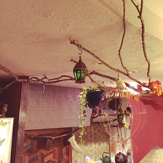 Yanagisawatomokoさんの実例写真