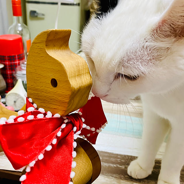 YUKAさんの部屋