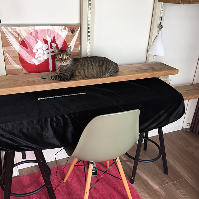 mikomaruさんの実例写真