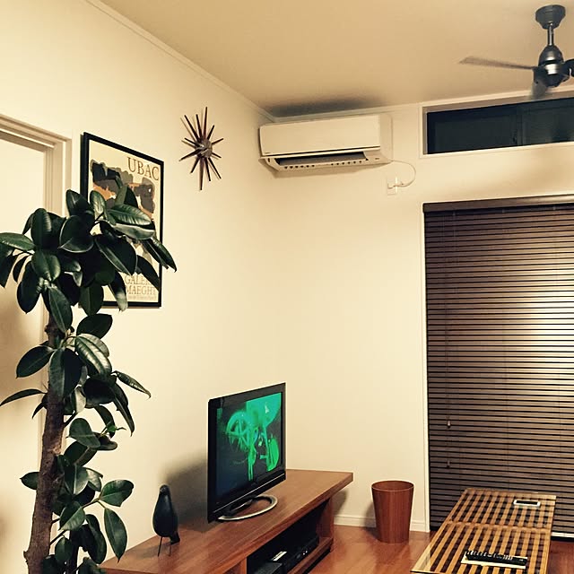 roommaniaさんの実例写真