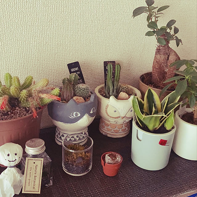 nishikenさんの実例写真
