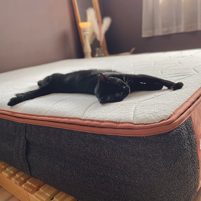 Yukinekoさんの部屋