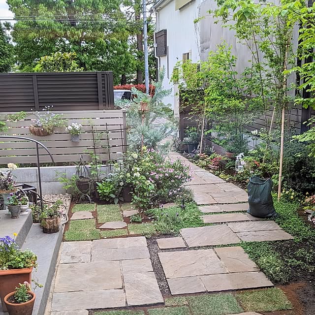 nolleyさんの部屋
