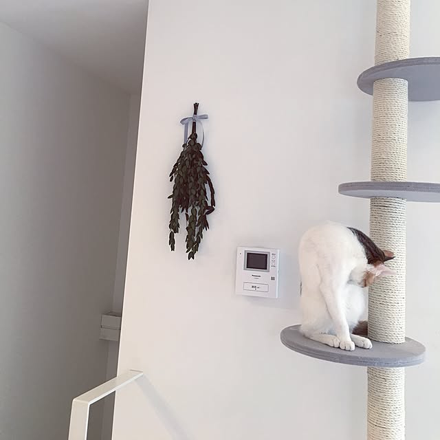 koumeさんの実例写真