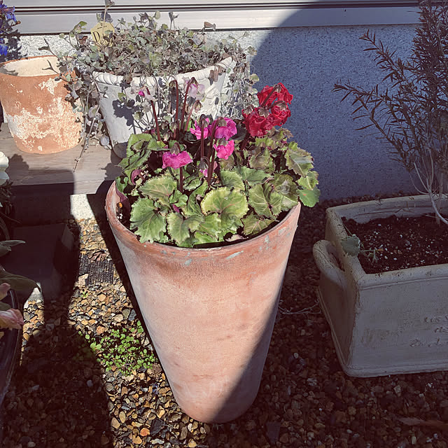 le-nuage-blancさんの実例写真