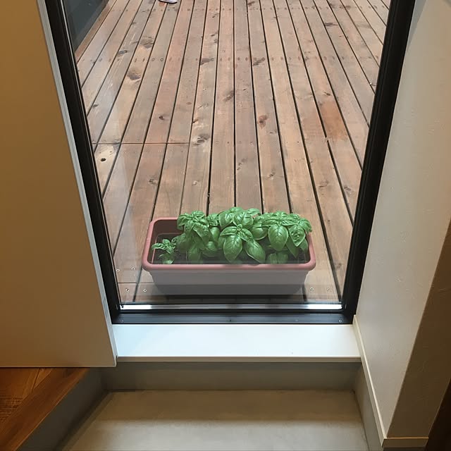 Noboさんの実例写真