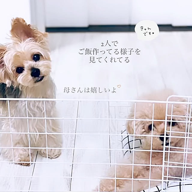 pocoさんの実例写真