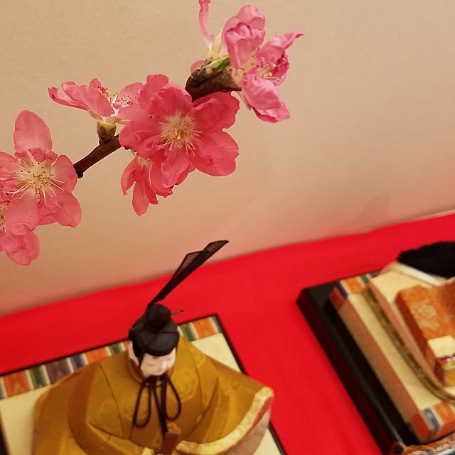 k-houseさんの部屋
